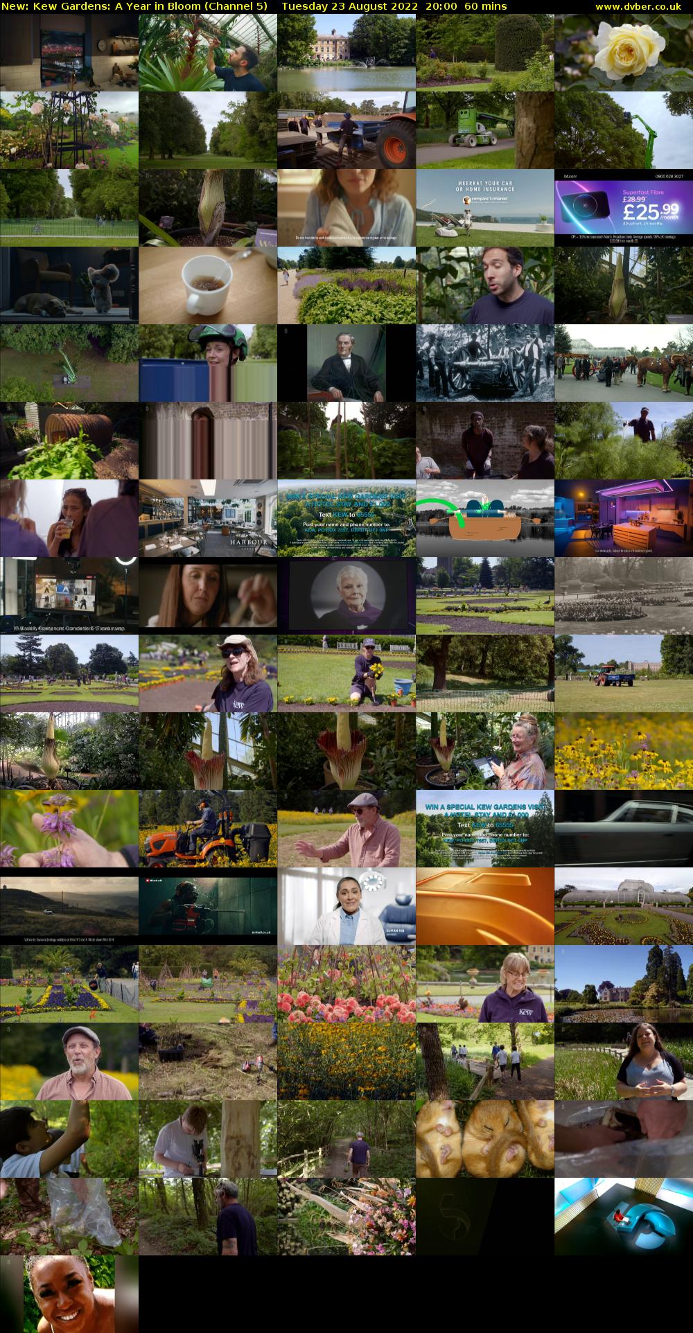 Kew Gardens: A Year In Bloom (Channel 5) Tuesday 23 August 2022 20:00 - 21:00