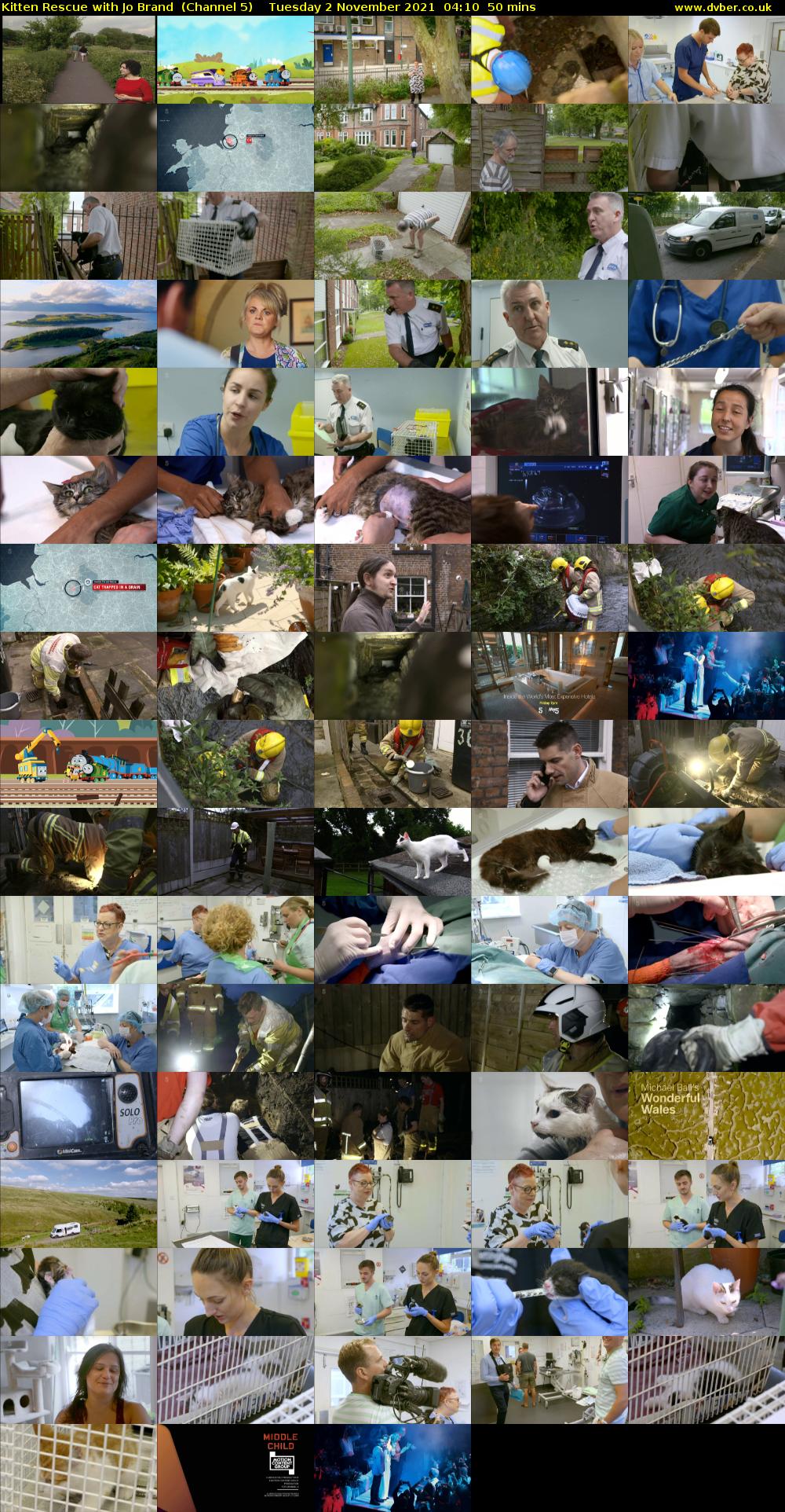 Kitten Rescue with Jo Brand  (Channel 5) Tuesday 2 November 2021 04:10 - 05:00