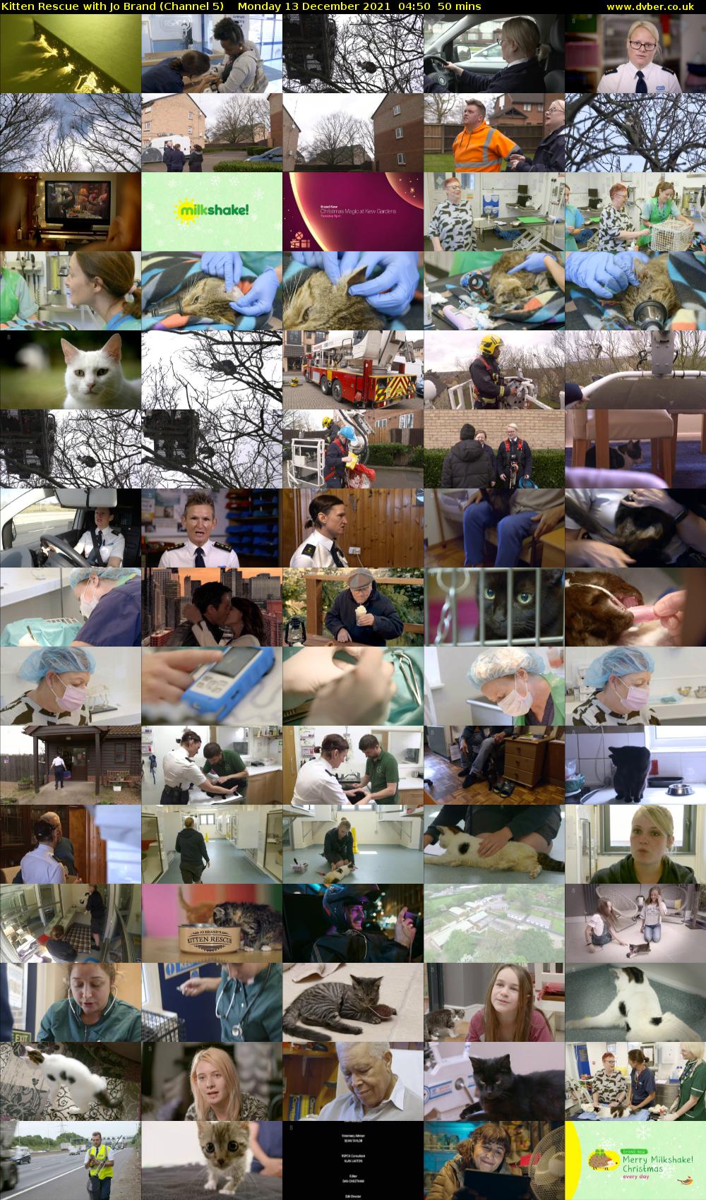Kitten Rescue with Jo Brand (Channel 5) Monday 13 December 2021 04:50 - 05:40
