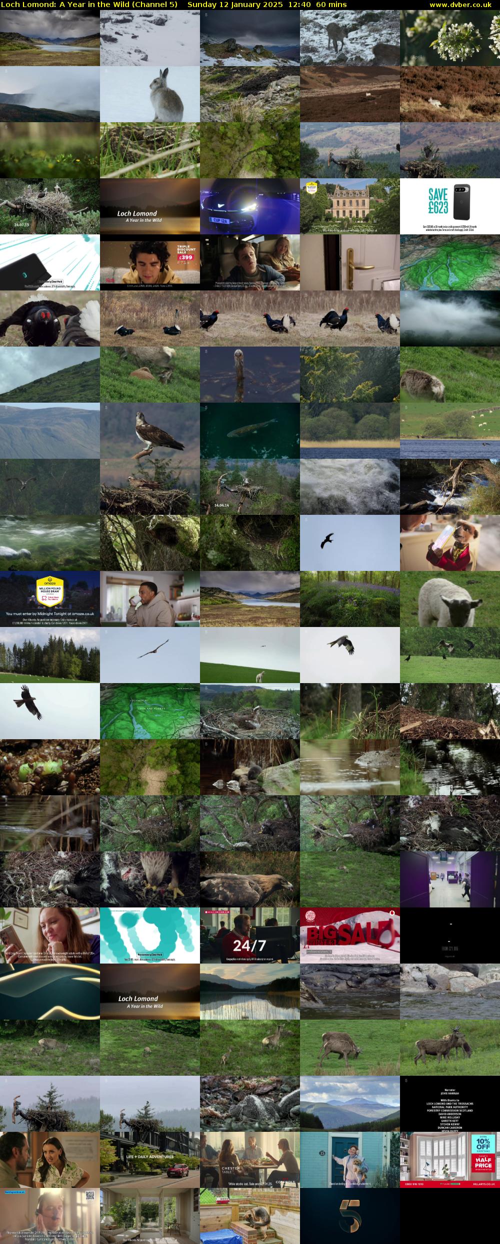 Loch Lomond: A Year in the Wild (Channel 5) Sunday 12 January 2025 12:40 - 13:40