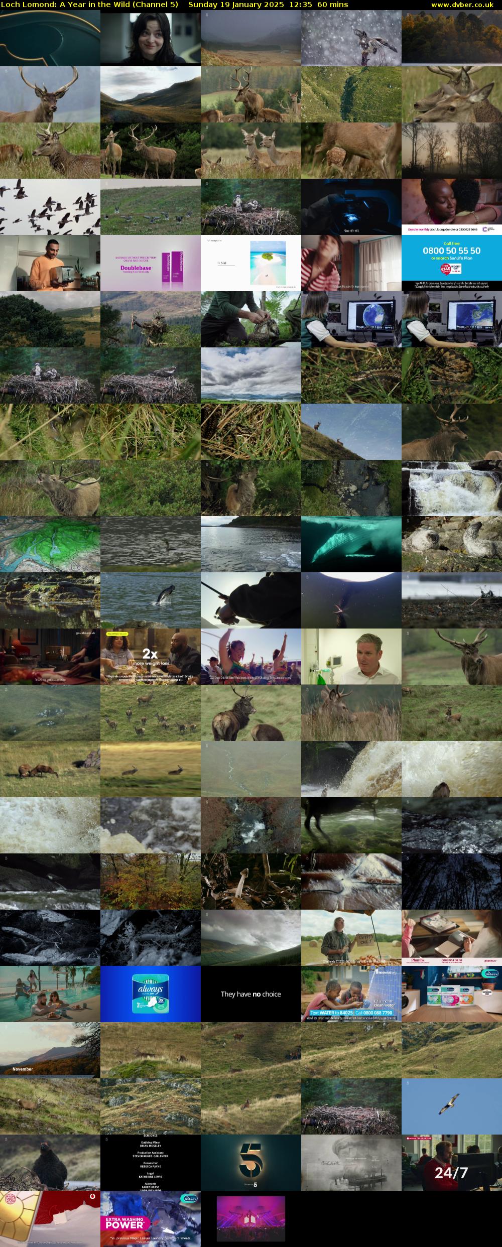 Loch Lomond: A Year in the Wild (Channel 5) Sunday 19 January 2025 12:35 - 13:35