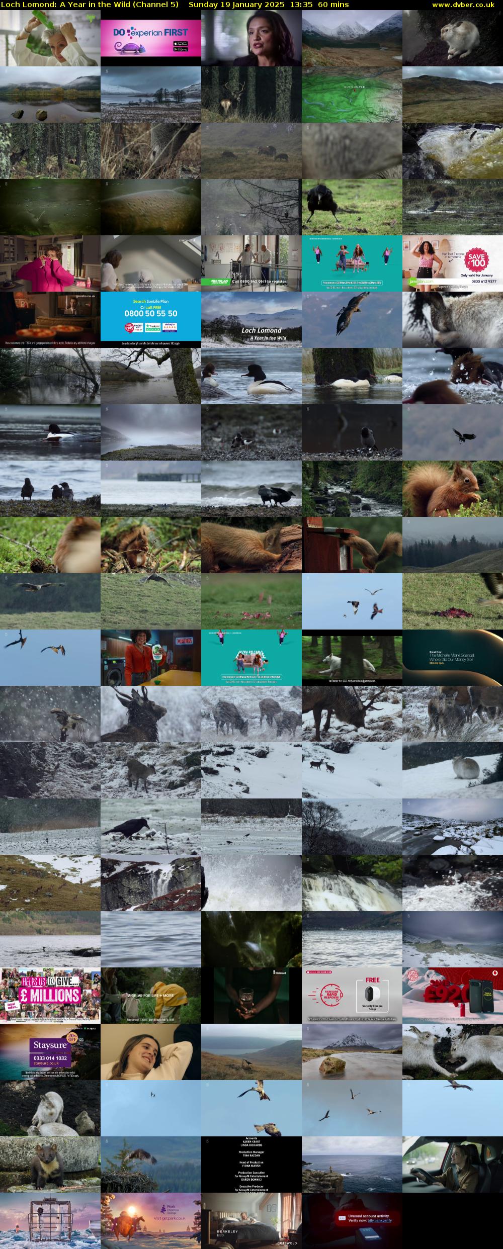 Loch Lomond: A Year in the Wild (Channel 5) Sunday 19 January 2025 13:35 - 14:35