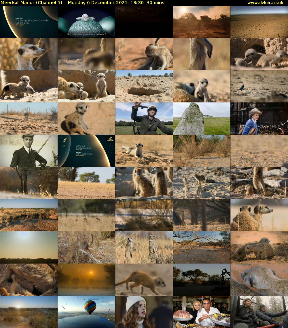 Meerkat Manor (Channel 5) Monday 6 December 2021 18:30 - 19:00