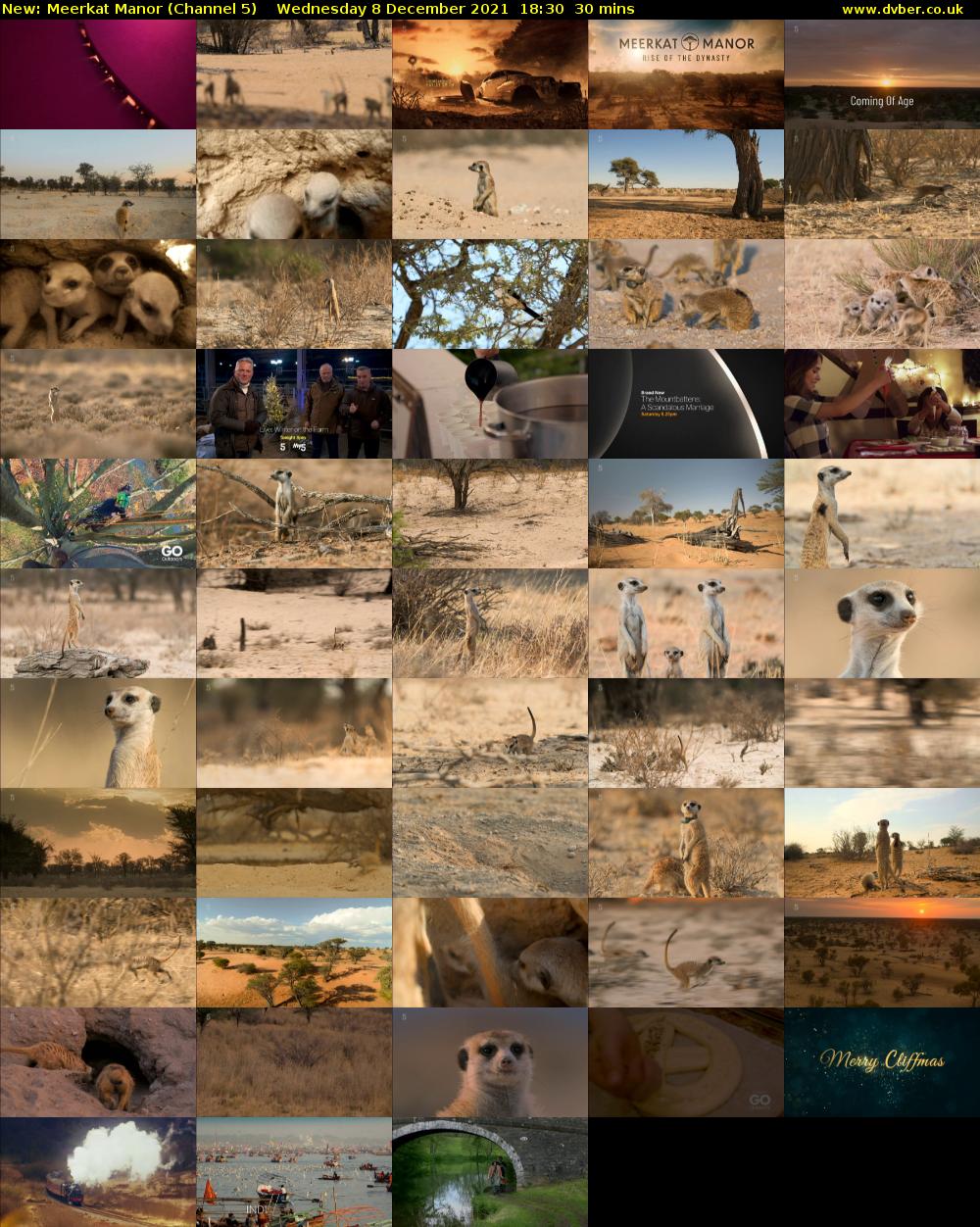 Meerkat Manor (Channel 5) Wednesday 8 December 2021 18:30 - 19:00