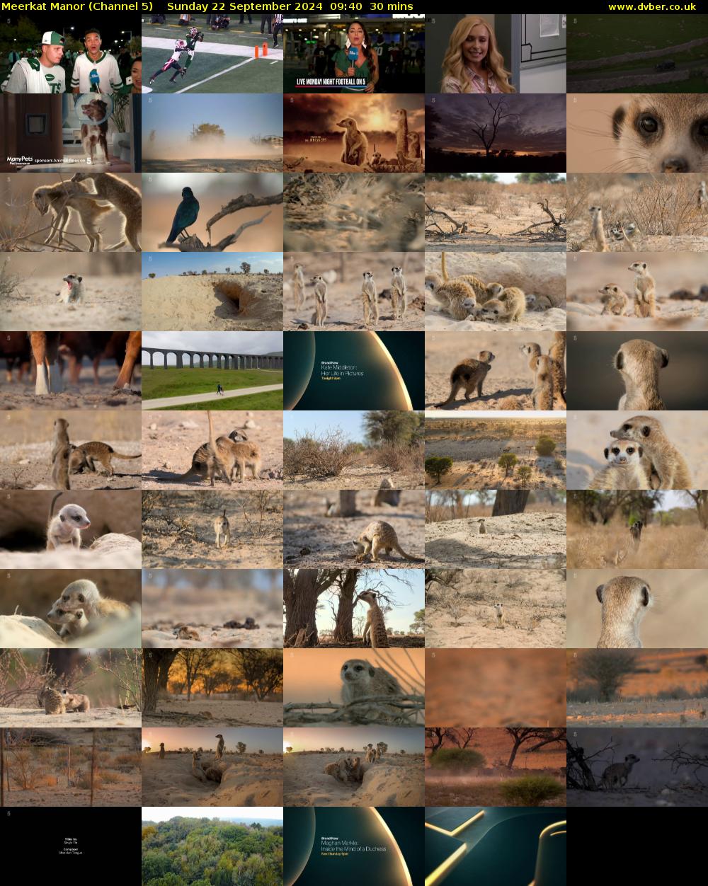 Meerkat Manor (Channel 5) Sunday 22 September 2024 09:40 - 10:10