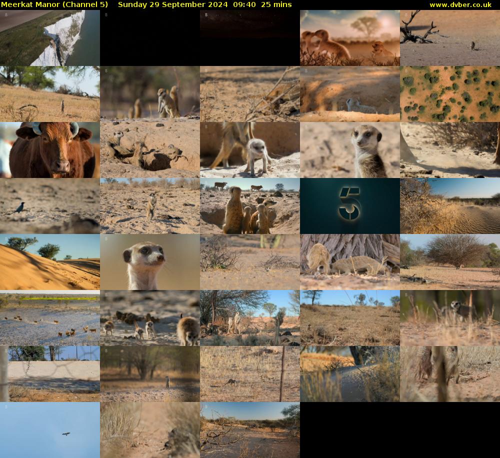 Meerkat Manor (Channel 5) Sunday 29 September 2024 09:40 - 10:05