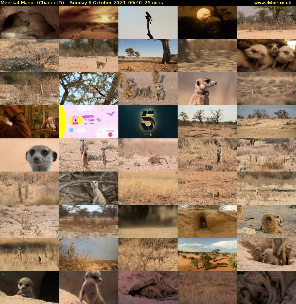 Meerkat Manor (Channel 5) Sunday 6 October 2024 09:40 - 10:05