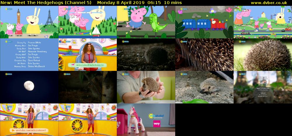 Meet The Hedgehogs (Channel 5) Monday 8 April 2019 06:15 - 06:25