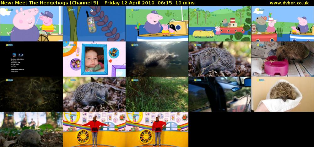 Meet The Hedgehogs (Channel 5) Friday 12 April 2019 06:15 - 06:25