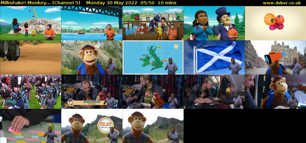 Milkshake! Monkey... (Channel 5) Monday 30 May 2022 05:50 - 06:00