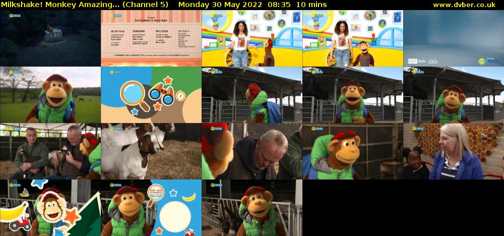 Milkshake! Monkey Amazing... (Channel 5) Monday 30 May 2022 08:35 - 08:45
