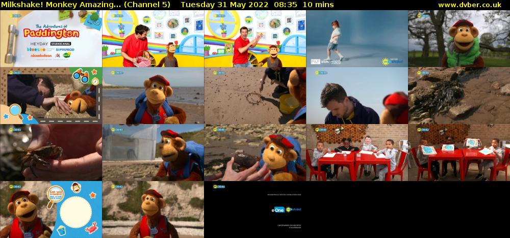 Milkshake! Monkey Amazing... (Channel 5) Tuesday 31 May 2022 08:35 - 08:45