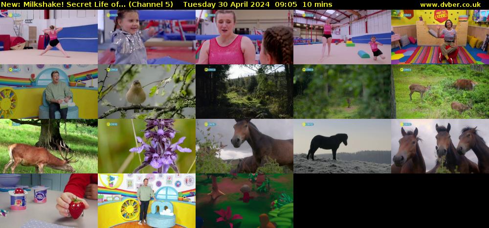 Milkshake! Secret Life of... (Channel 5) Tuesday 30 April 2024 09:05 - 09:15