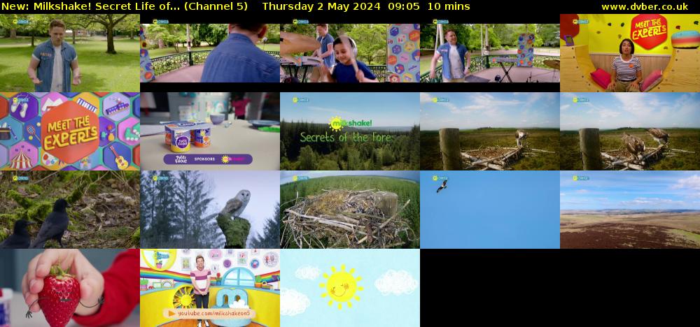 Milkshake! Secret Life of... (Channel 5) Thursday 2 May 2024 09:05 - 09:15