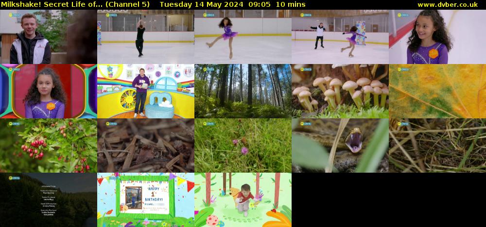Milkshake! Secret Life of... (Channel 5) Tuesday 14 May 2024 09:05 - 09:15