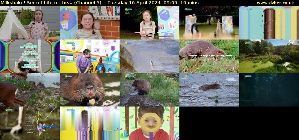 Milkshake! Secret Life of the... (Channel 5) Tuesday 16 April 2024 09:05 - 09:15