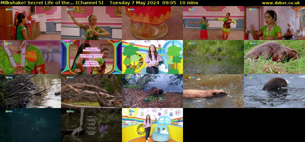 Milkshake! Secret Life of the... (Channel 5) Tuesday 7 May 2024 09:05 - 09:15