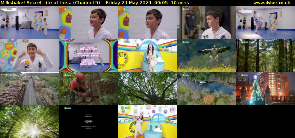 Milkshake! Secret Life of the... (Channel 5) Friday 24 May 2024 09:05 - 09:15