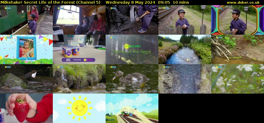 Milkshake! Secret Life of the Forest (Channel 5) Wednesday 8 May 2024 09:05 - 09:15