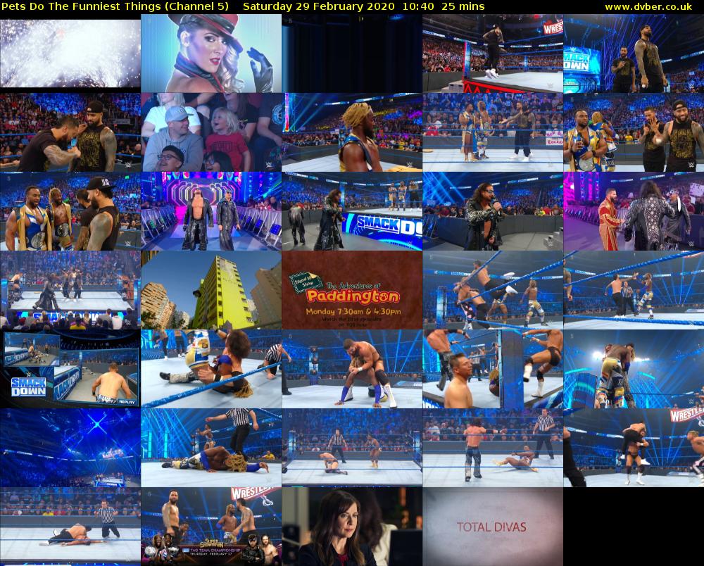 Pets Do The Funniest Things (Channel 5) Saturday 29 February 2020 10:40 - 11:05