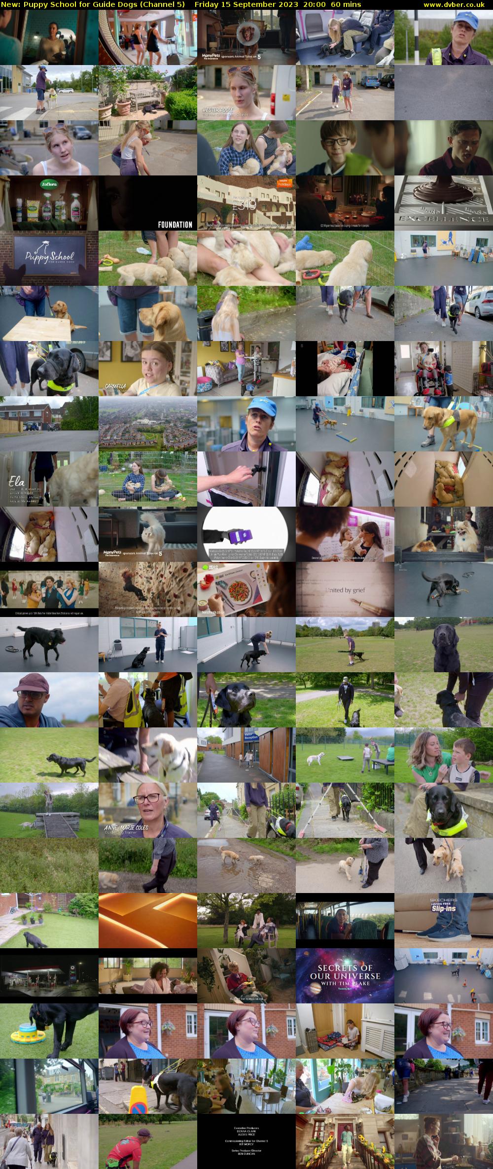 Puppy School for Guide Dogs (Channel 5) Friday 15 September 2023 20:00 - 21:00