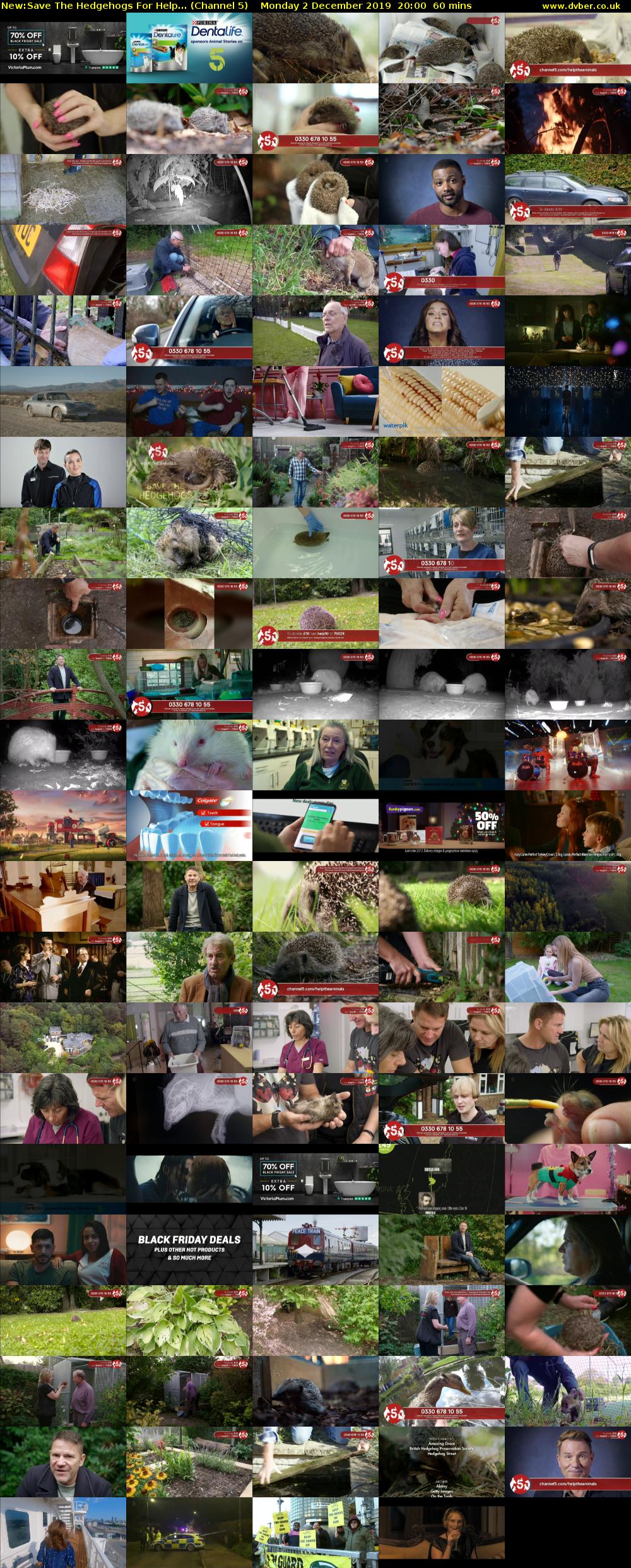 Save The Hedgehogs For Help... (Channel 5) Monday 2 December 2019 20:00 - 21:00