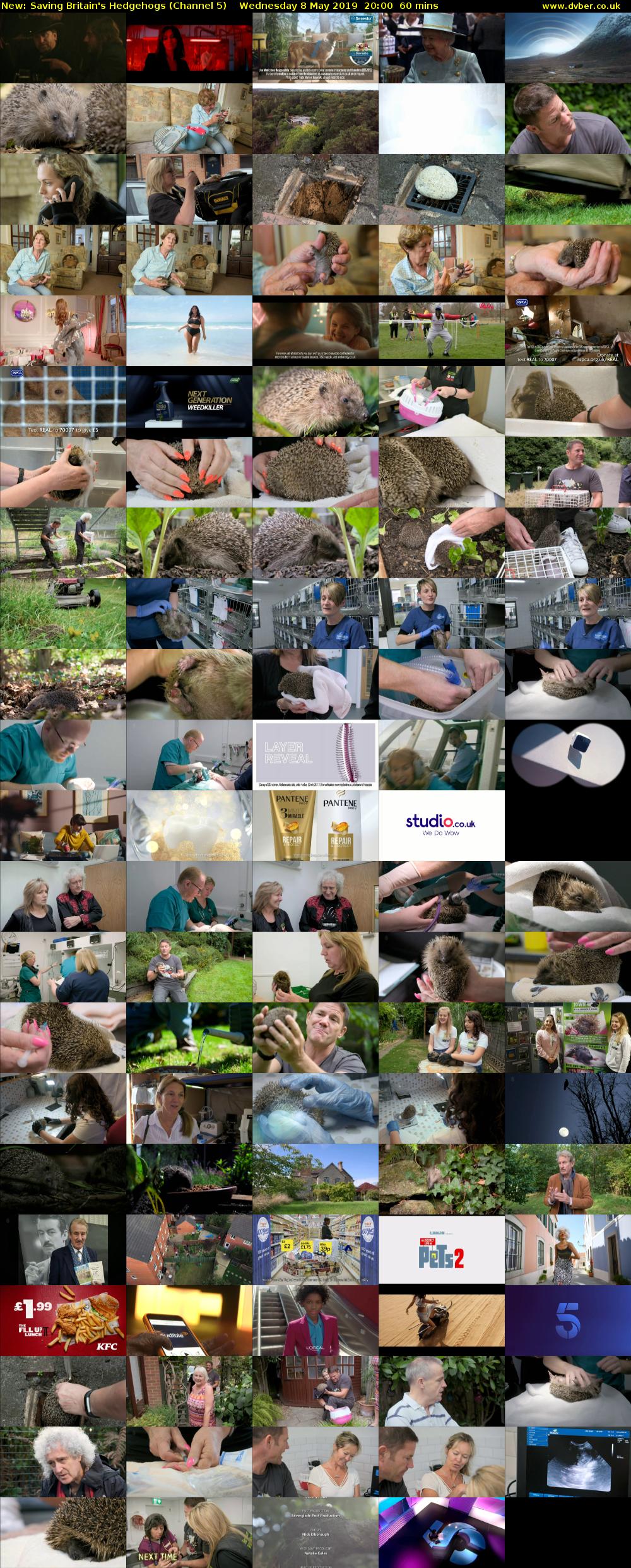Saving Britain's Hedgehogs (Channel 5) Wednesday 8 May 2019 20:00 - 21:00