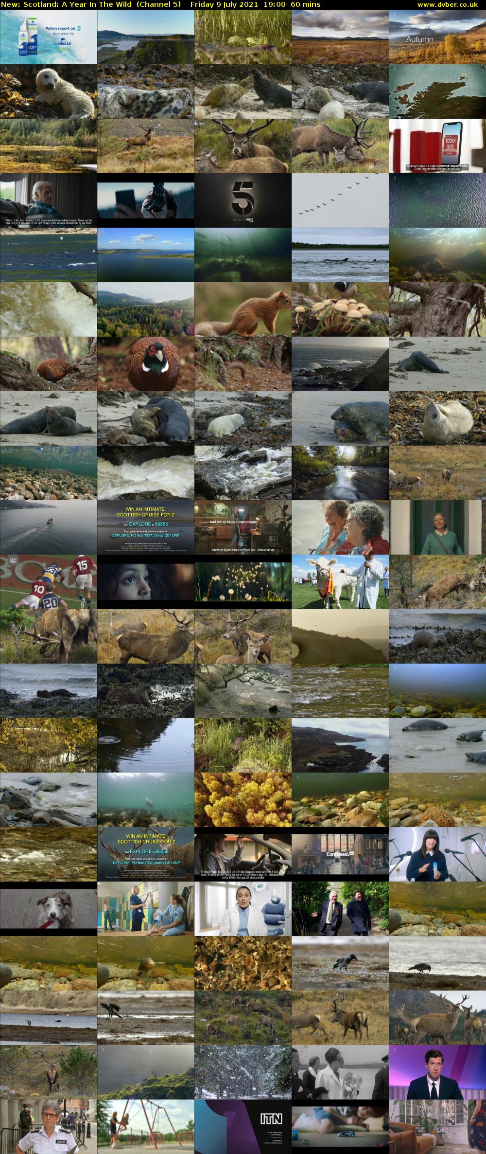 Scotland: A Year In The Wild (Channel 5) Friday 9 July 2021 19:00 - 20:00