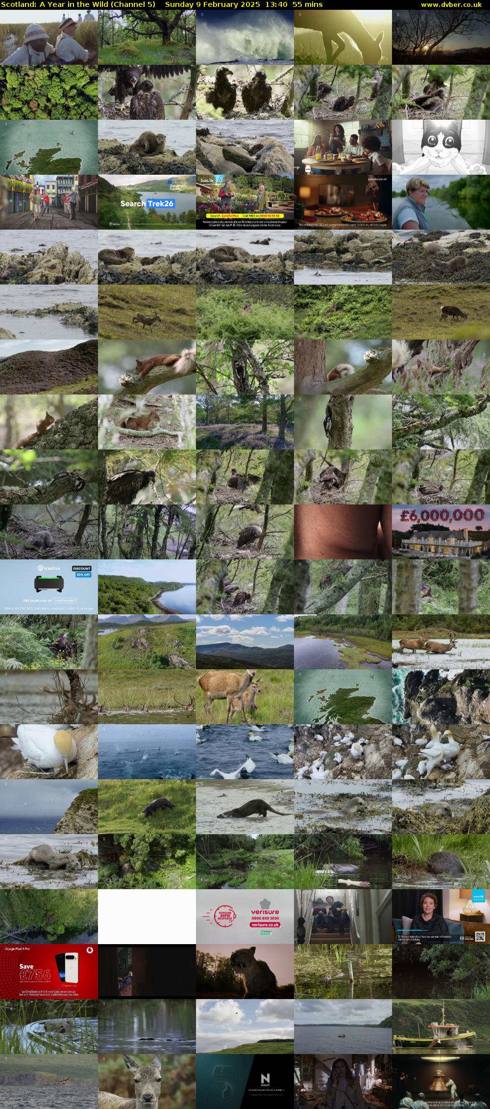 Scotland: A Year In The Wild (Channel 5) Sunday 9 February 2025 13:40 - 14:35