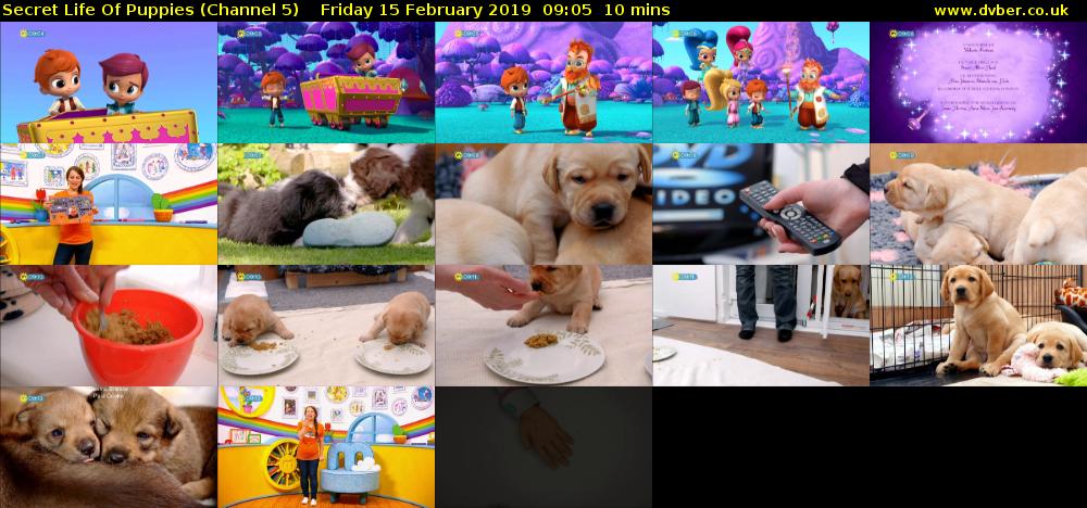 Secret Life Of Puppies (Channel 5) Friday 15 February 2019 09:05 - 09:15