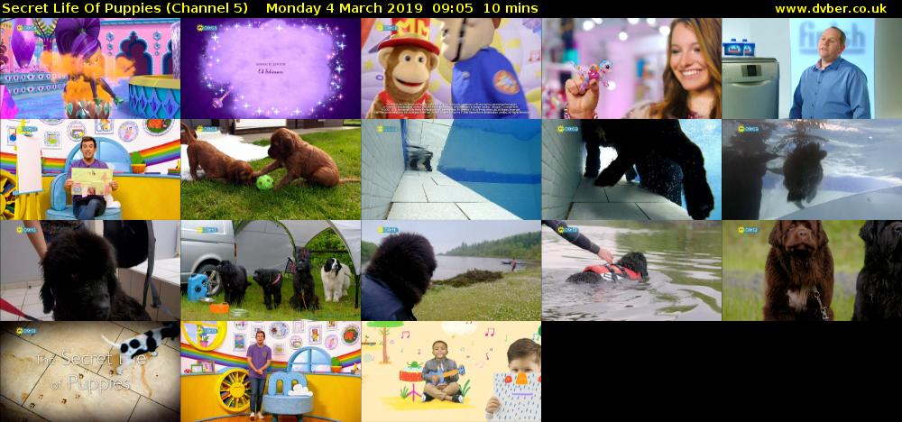 Secret Life Of Puppies (Channel 5) Monday 4 March 2019 09:05 - 09:15