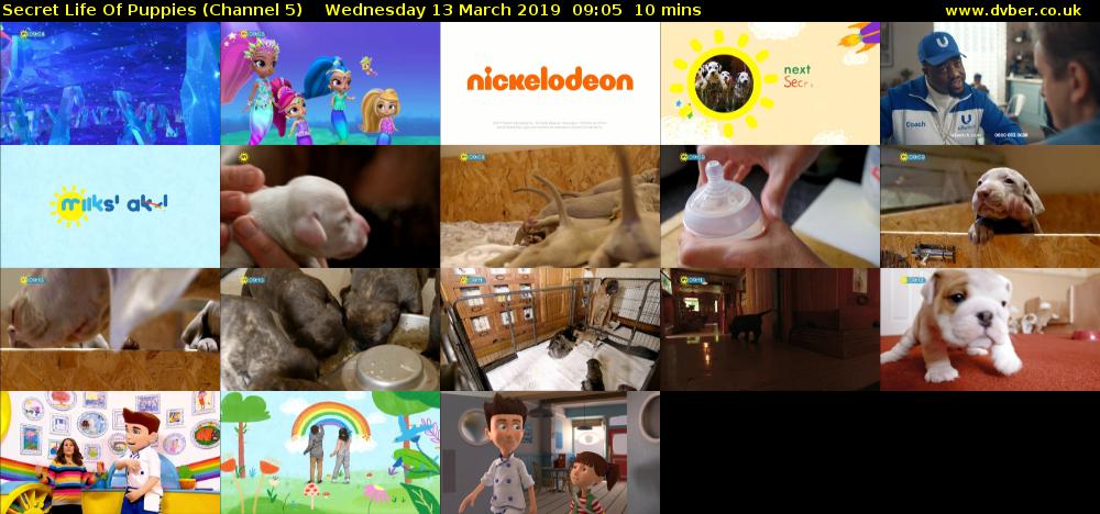 Secret Life Of Puppies (Channel 5) Wednesday 13 March 2019 09:05 - 09:15