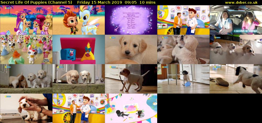 Secret Life Of Puppies (Channel 5) Friday 15 March 2019 09:05 - 09:15