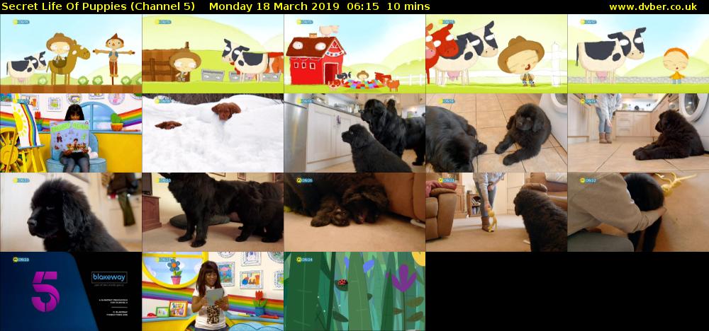 Secret Life Of Puppies (Channel 5) Monday 18 March 2019 06:15 - 06:25