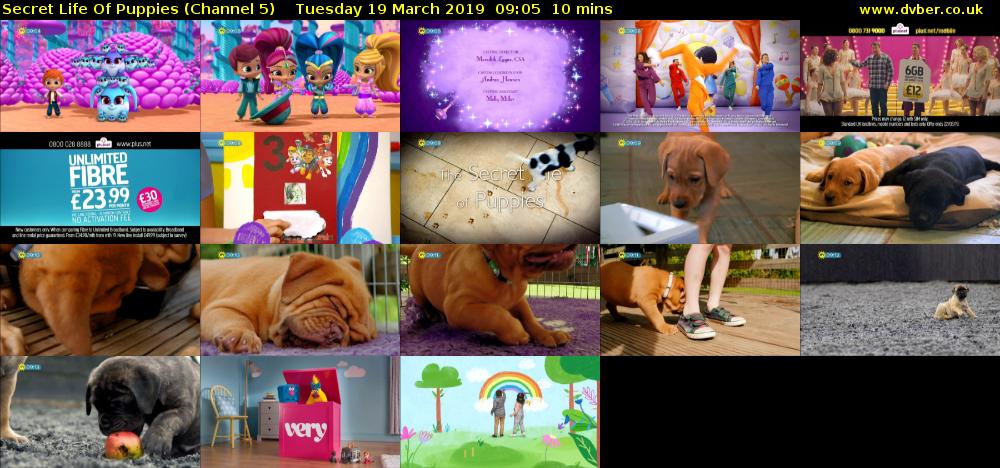 Secret Life Of Puppies (Channel 5) Tuesday 19 March 2019 09:05 - 09:15
