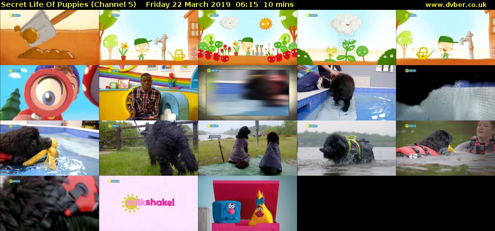 Secret Life Of Puppies (Channel 5) Friday 22 March 2019 06:15 - 06:25