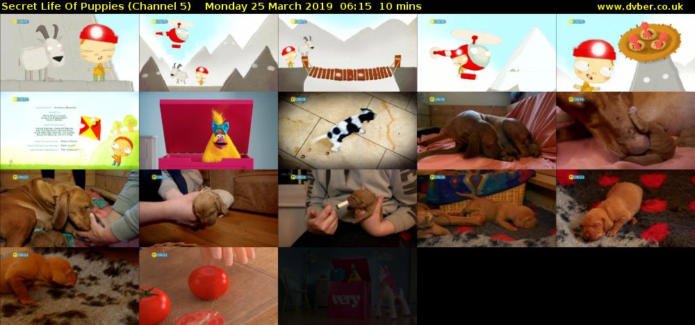 Secret Life Of Puppies (Channel 5) Monday 25 March 2019 06:15 - 06:25