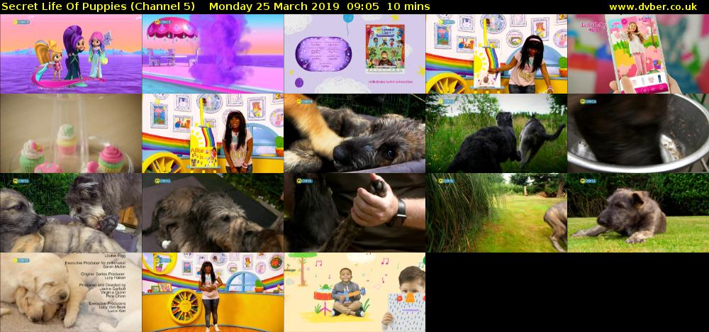 Secret Life Of Puppies (Channel 5) Monday 25 March 2019 09:05 - 09:15