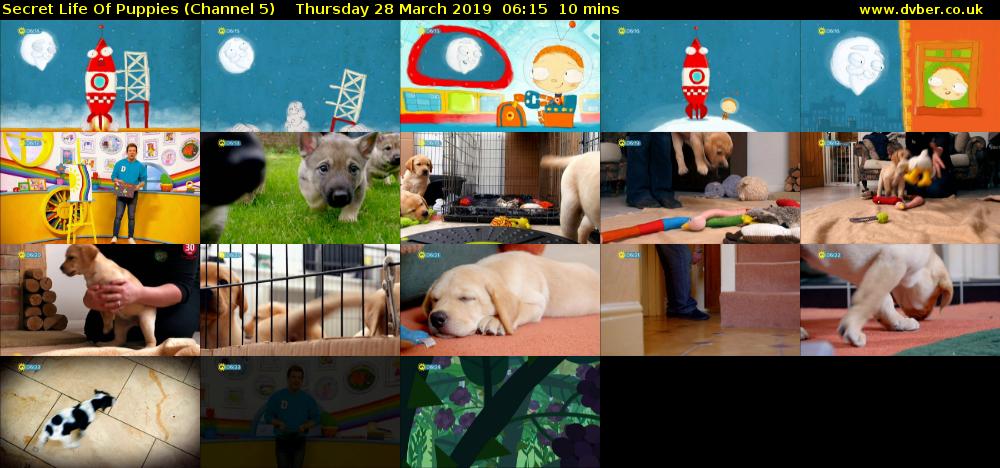 Secret Life Of Puppies (Channel 5) Thursday 28 March 2019 06:15 - 06:25
