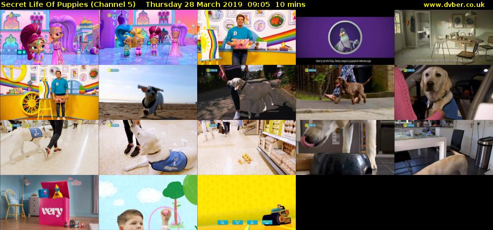 Secret Life Of Puppies (Channel 5) Thursday 28 March 2019 09:05 - 09:15