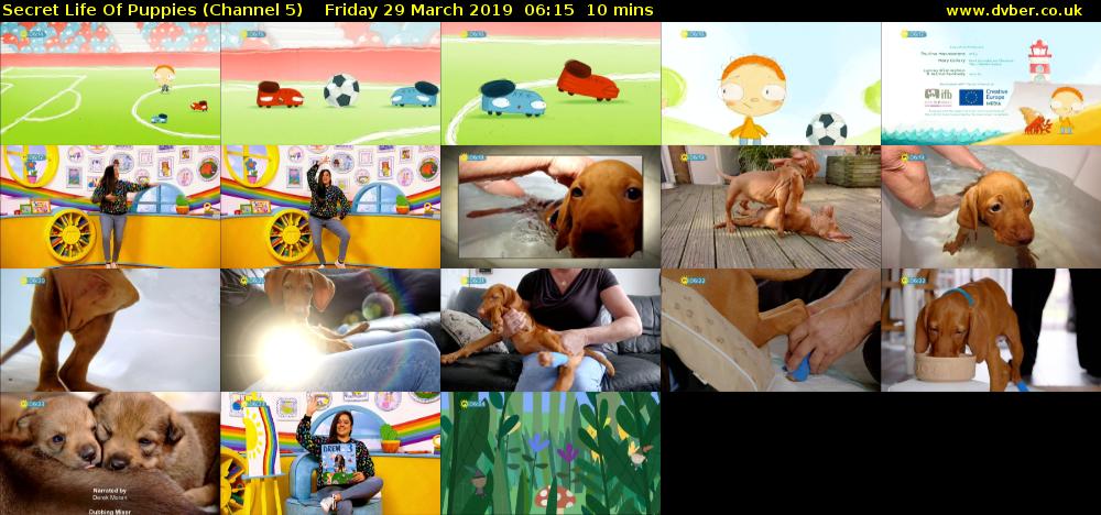 Secret Life Of Puppies (Channel 5) Friday 29 March 2019 06:15 - 06:25
