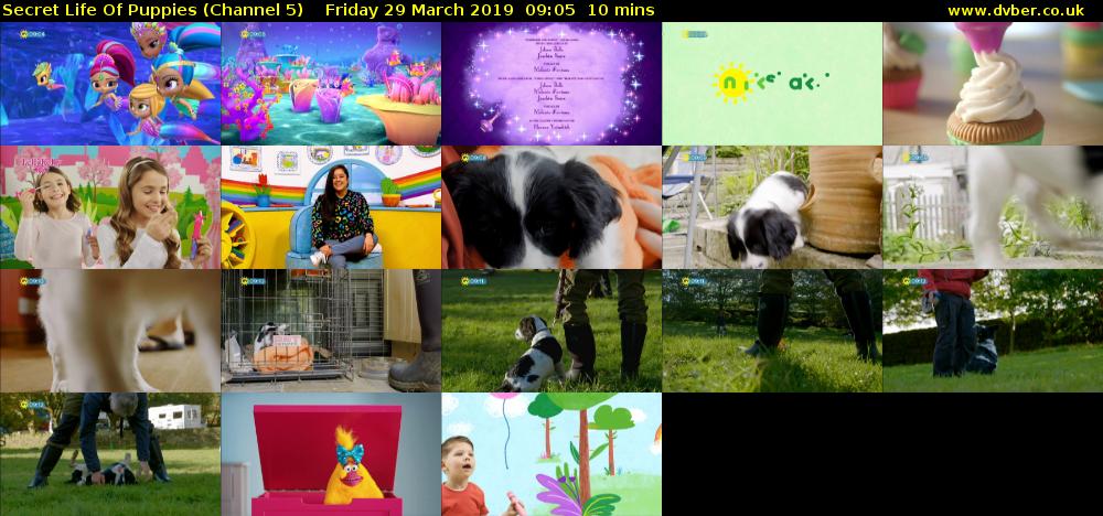 Secret Life Of Puppies (Channel 5) Friday 29 March 2019 09:05 - 09:15