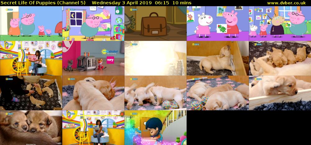 Secret Life Of Puppies (Channel 5) Wednesday 3 April 2019 06:15 - 06:25