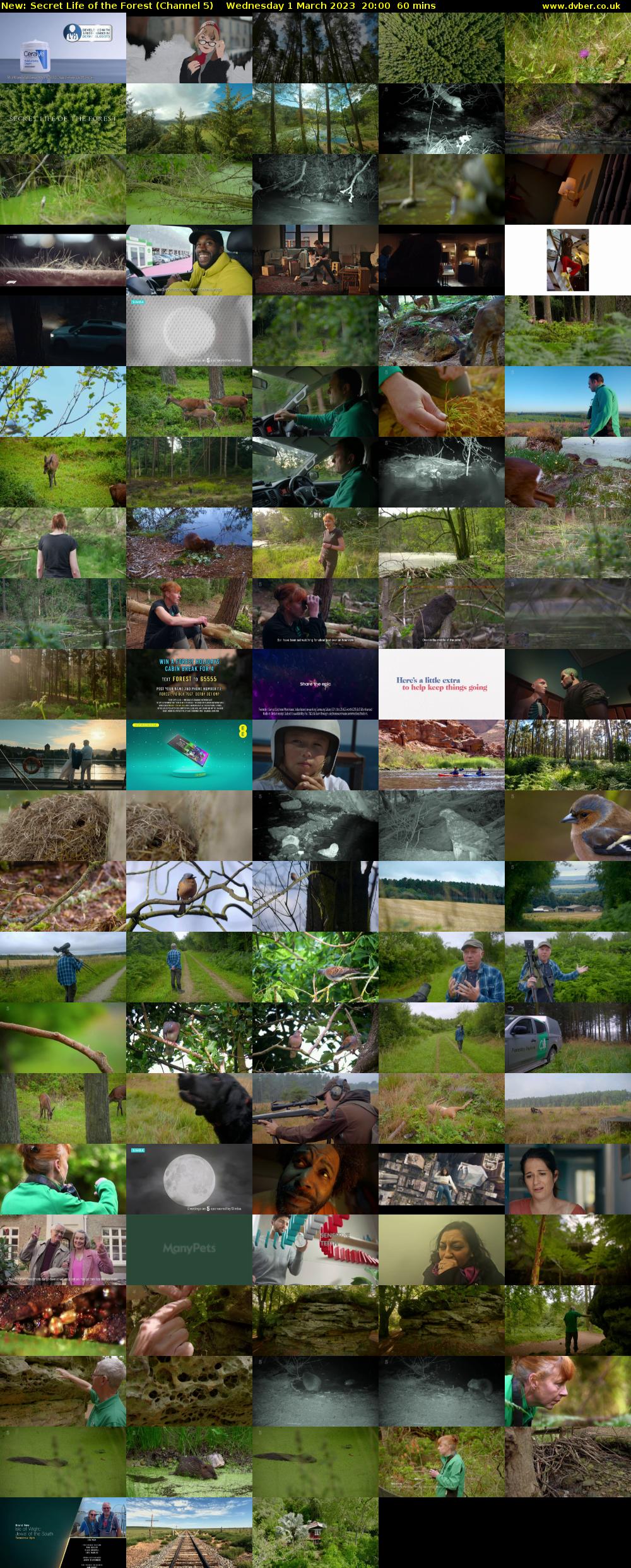 Secret Life of the Forest (Channel 5) Wednesday 1 March 2023 20:00 - 21:00