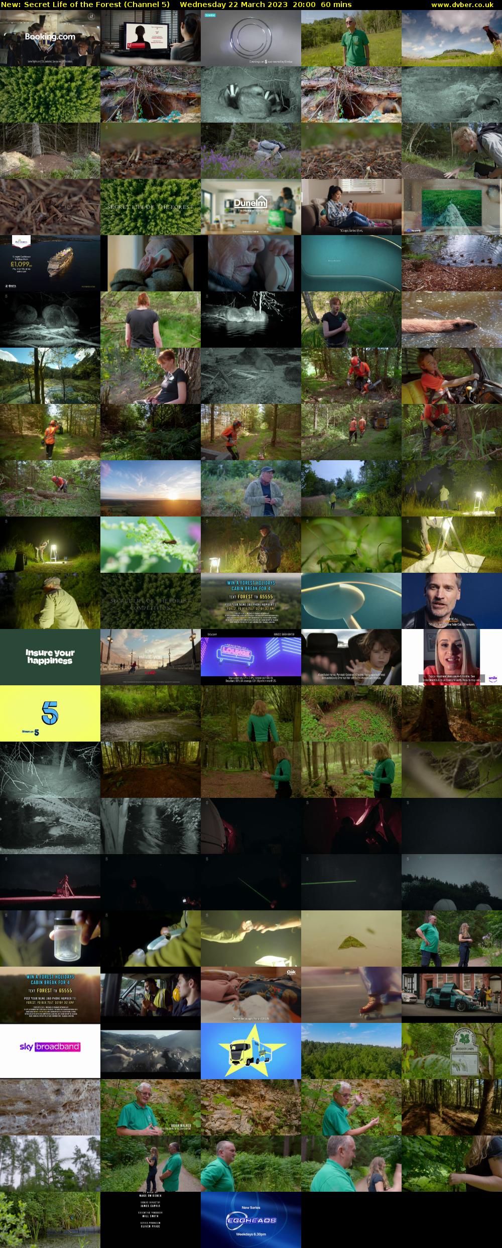 Secret Life of the Forest (Channel 5) Wednesday 22 March 2023 20:00 - 21:00