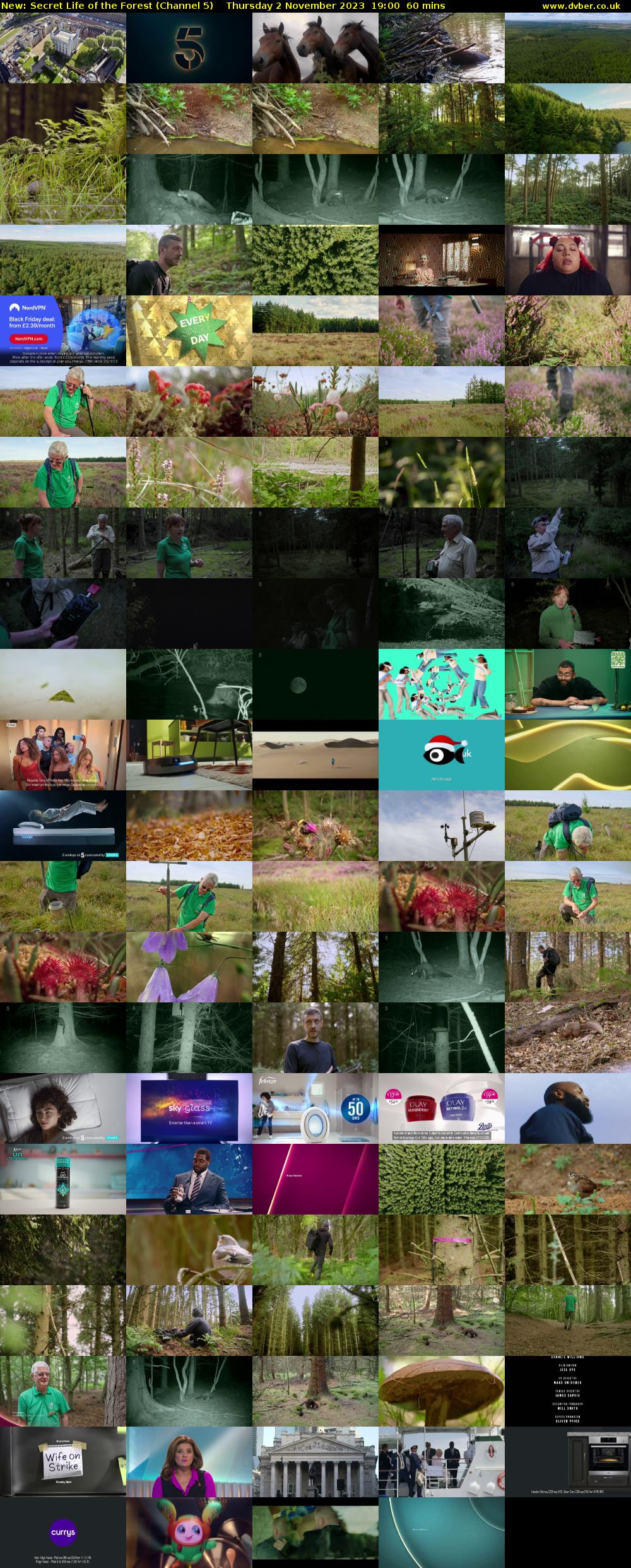 Secret Life of the Forest (Channel 5) Thursday 2 November 2023 19:00 - 20:00