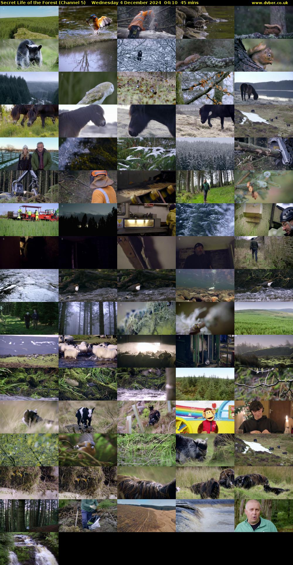 Secret Life of the Forest (Channel 5) Wednesday 4 December 2024 04:10 - 04:55