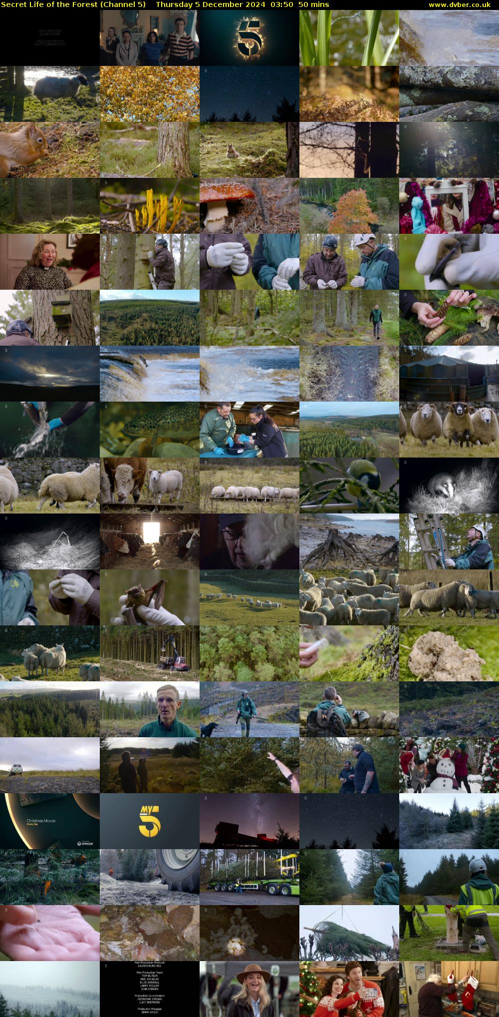Secret Life of the Forest (Channel 5) Thursday 5 December 2024 03:50 - 04:40