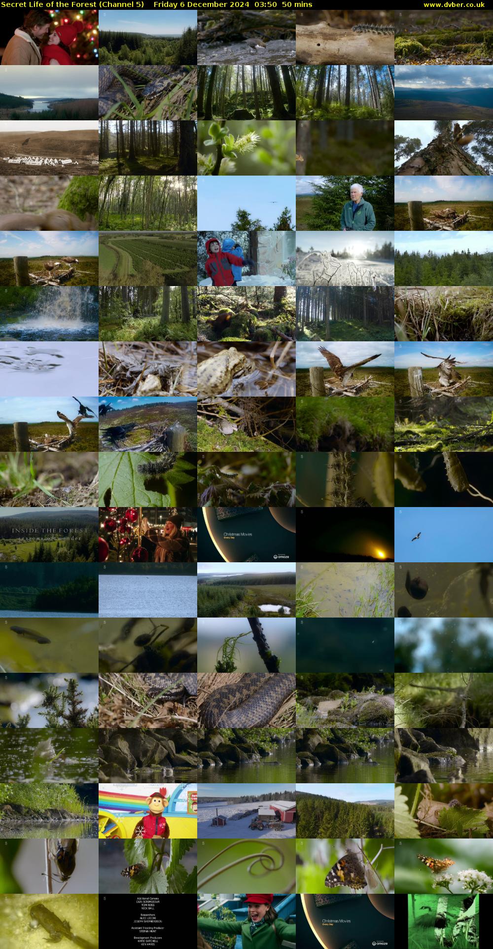 Secret Life of the Forest (Channel 5) Friday 6 December 2024 03:50 - 04:40