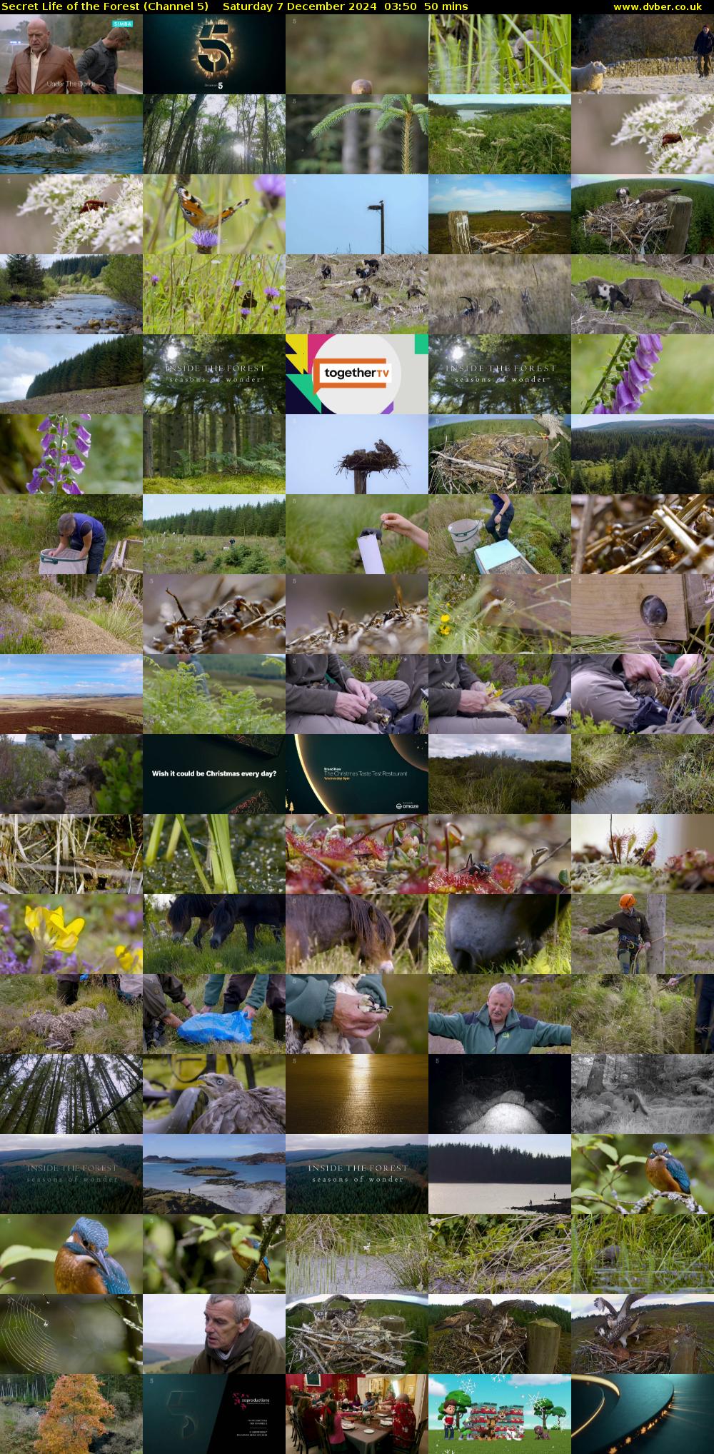 Secret Life of the Forest (Channel 5) Saturday 7 December 2024 03:50 - 04:40